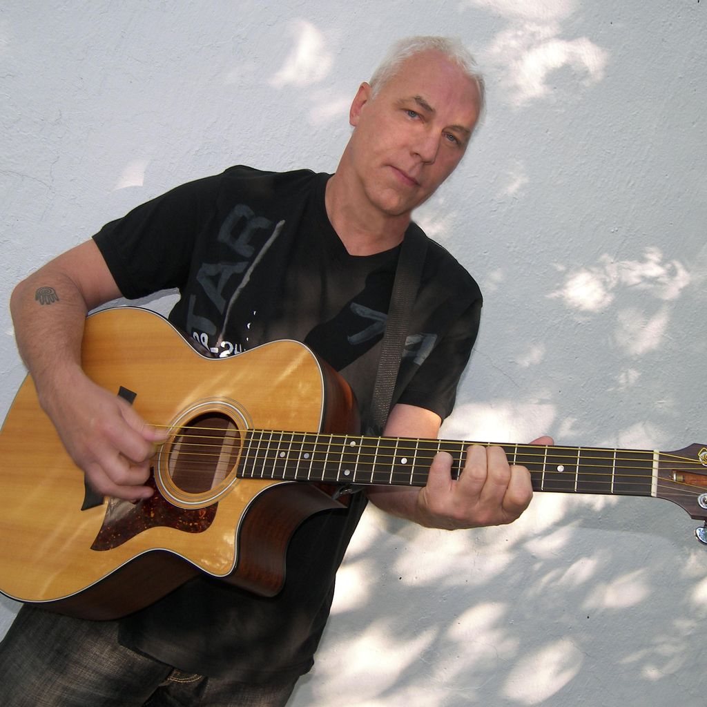 Mitchell Guitar