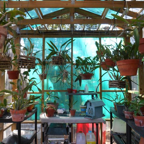 inside the greenhouse