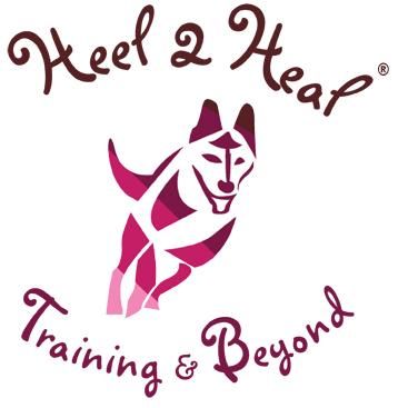 Heel 2 Heal Dog Training
