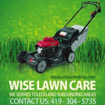 Wise Lawn Care