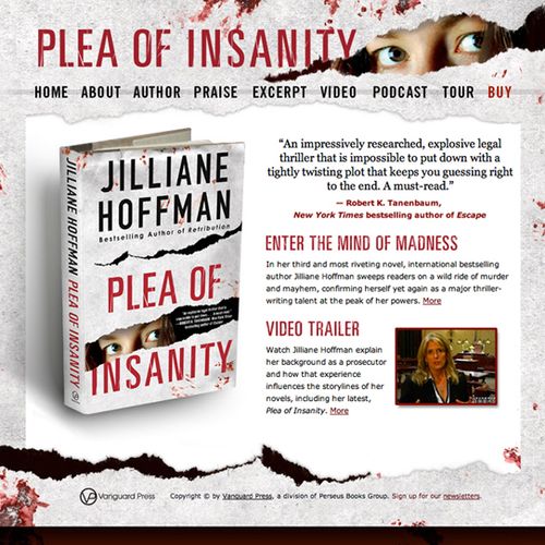 Book promotion website for Plea of Insanity by Jil
