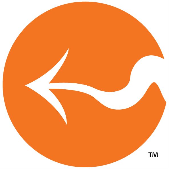 Orange Dragon Designs, LLC