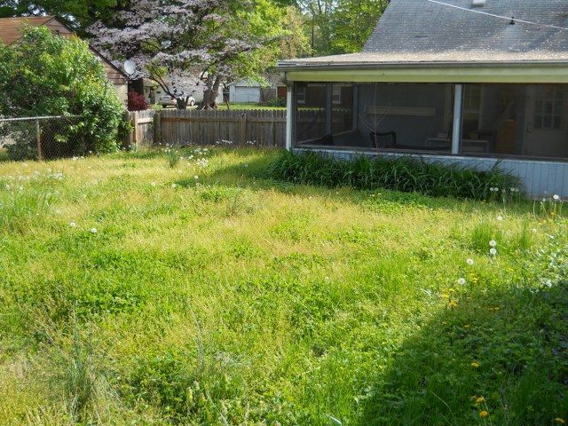 If your yard looks like this
