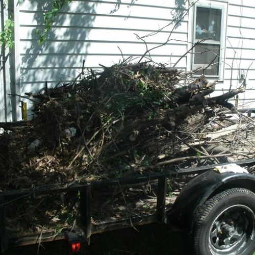 I can haul off any debris you want gone to