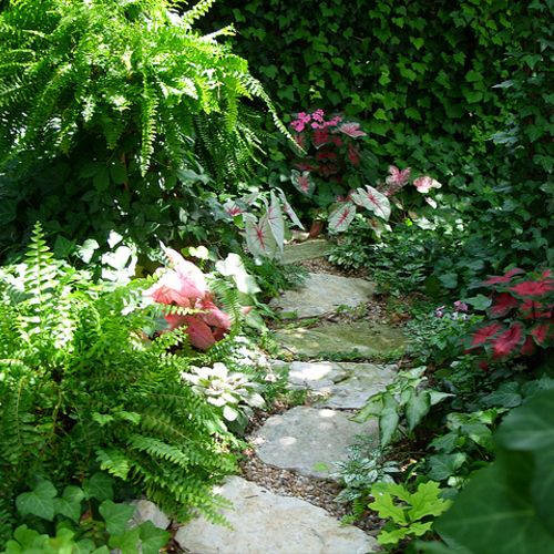 Down the garden path!
