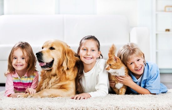 We offer the best carpet cleaning technicians that