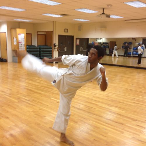 Martial arts Training