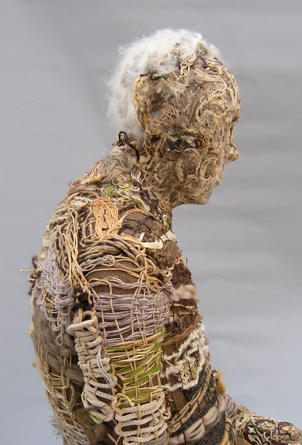 Life Stage 6
Fibers, Latex, Steel, 2011