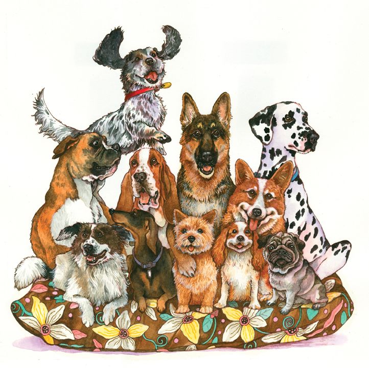 Dogs/ABC of Dogs/book illustration