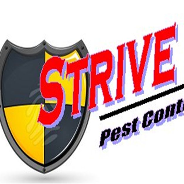 Strive Pest Control