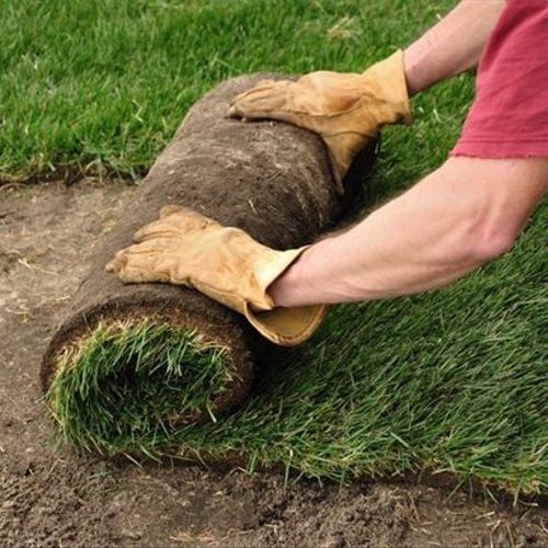 WE ISTALL NEW LAWN 
SOD OR SEED