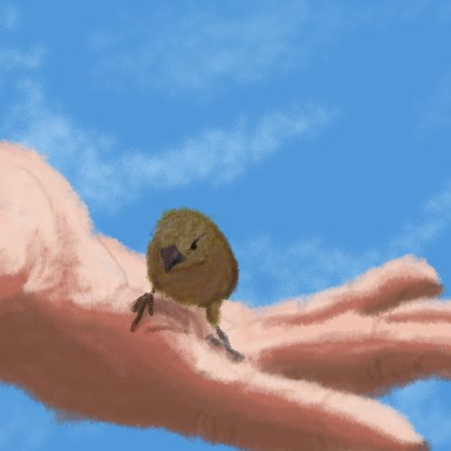 Digital painting of a bird in a hand