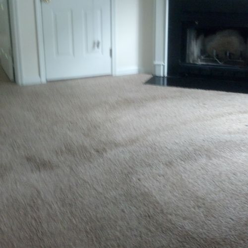 Carpet Cleaning too. We do all types of flooring p
