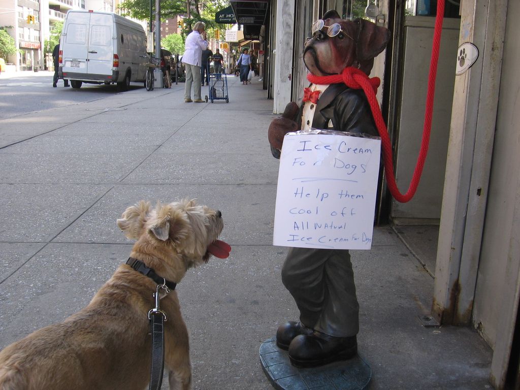 Selling doggie ice cream at the
pet store