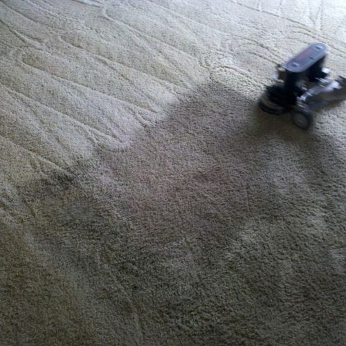 Rotovac powerwand steam cleaning in action. A carp