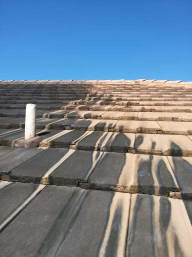Tile roof cleaning