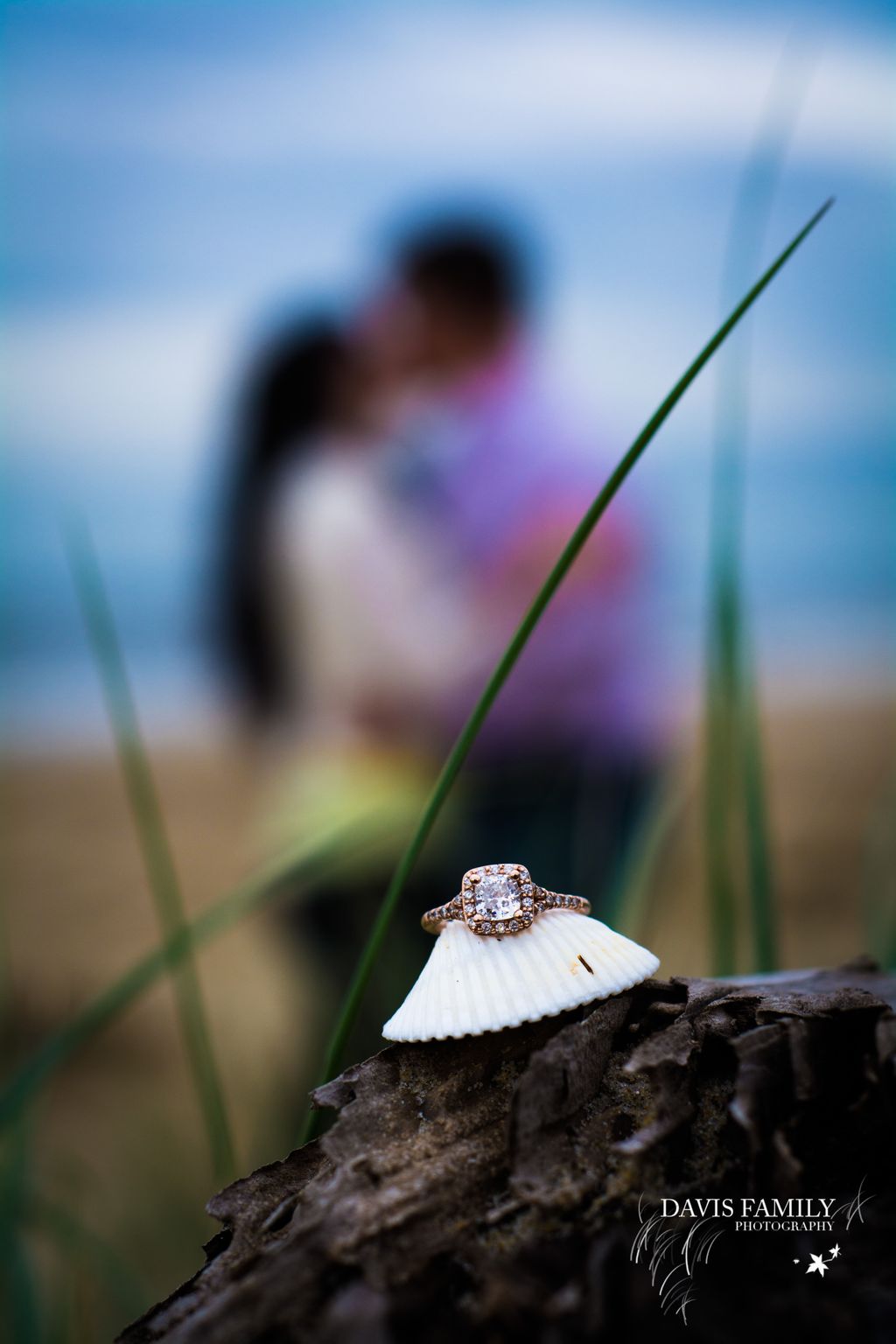 Engagement Photography