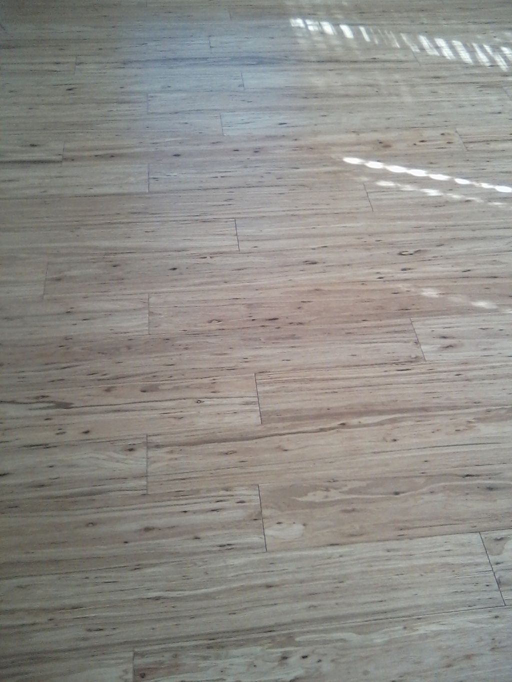 Bamboo in Seguin, TX