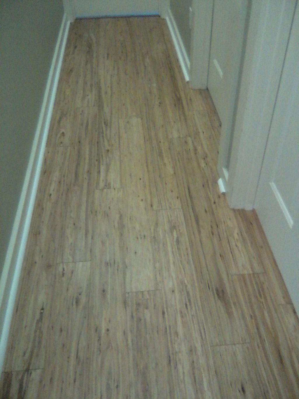 Bamboo hallway in Seguin, TX