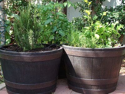 container gardens