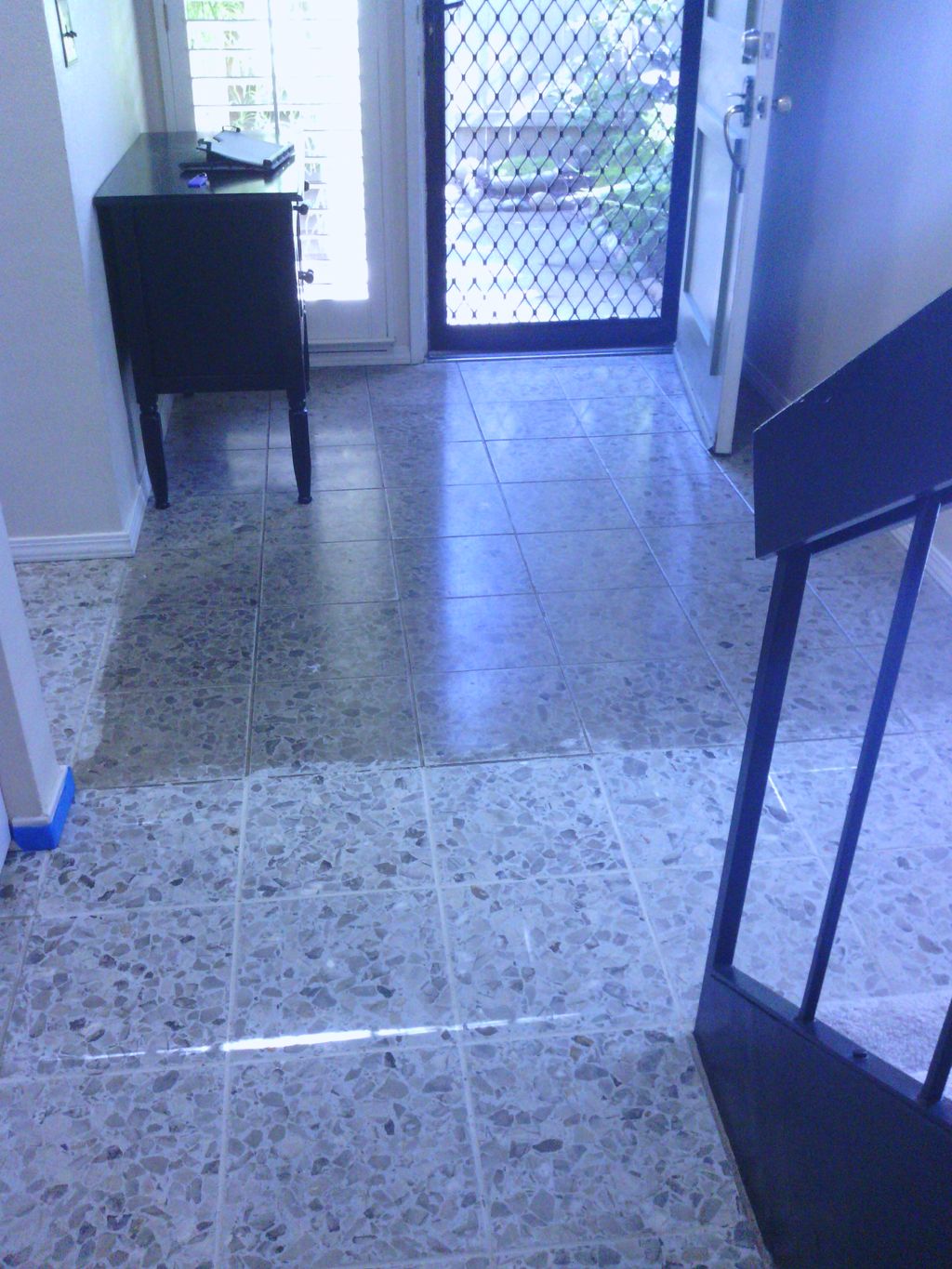 Restore that terrazzo floor !