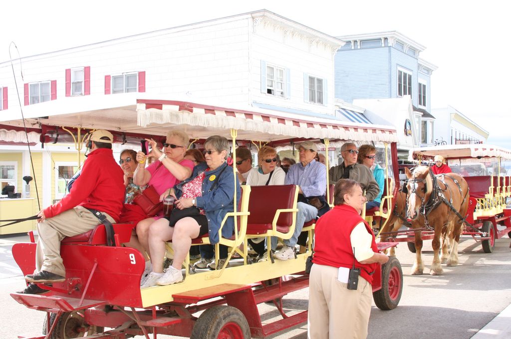 We plan and take small and large groups on trips a