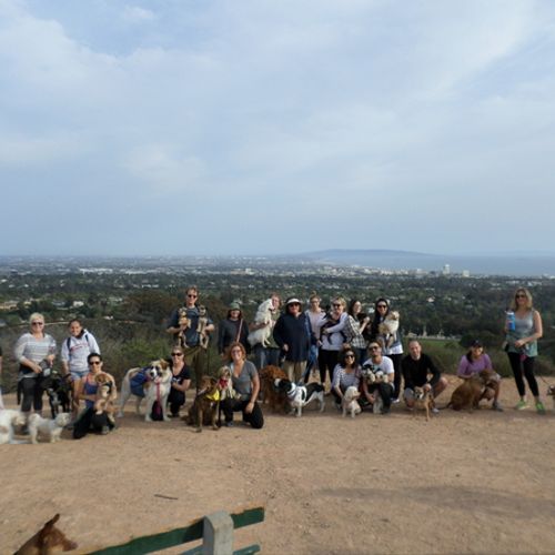 I lead a free Pack Walk every other weekend to hel