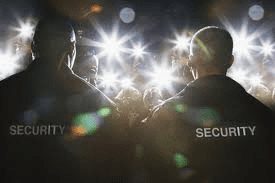 Concert Security