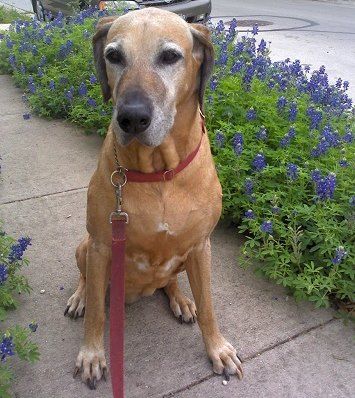 Maddie, one of my favorite clients!