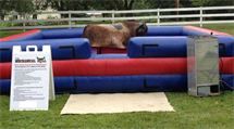 Mechanical Bull and Extreme Inflatables