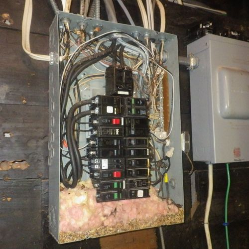Mouse nest inside main electrical panel. this is a