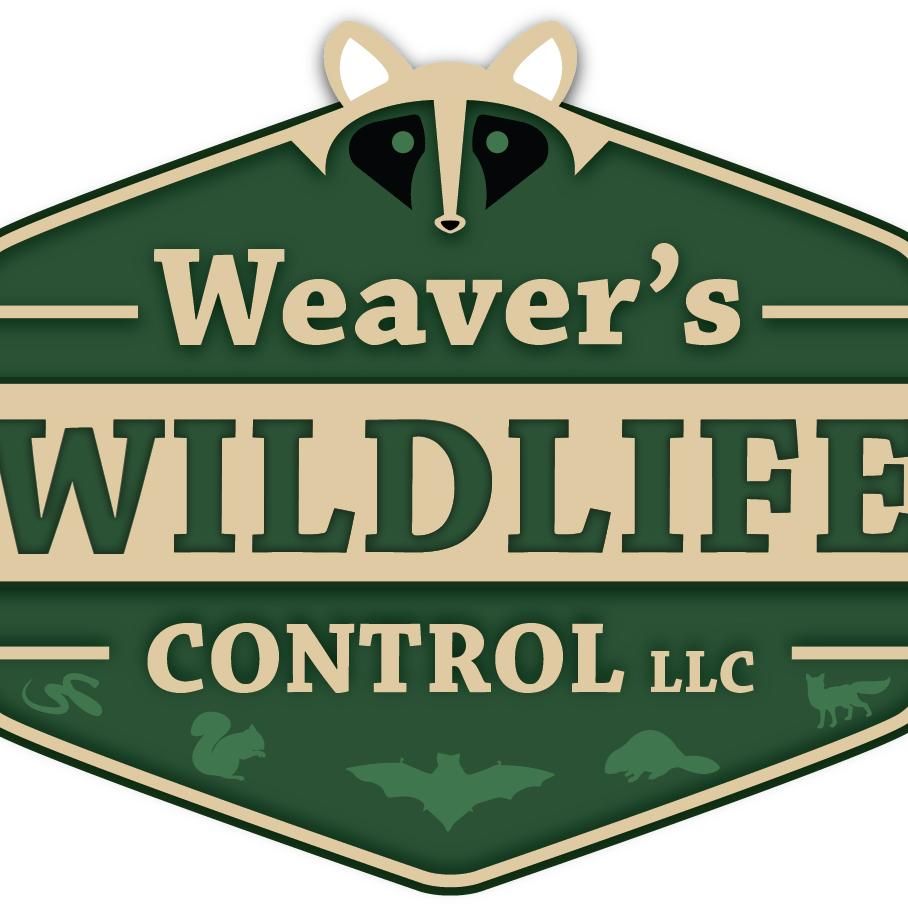 Weaver's Wildlife Control, LLC