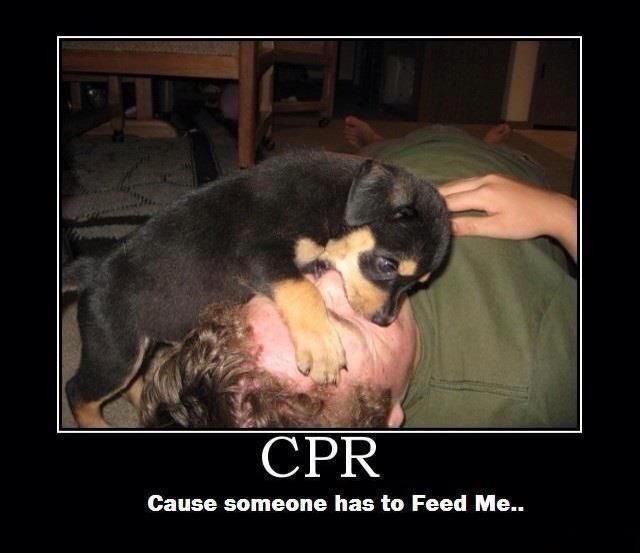CPR by ABC