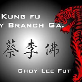 Tiger & Dragon Kung Fu School Flowery Branch