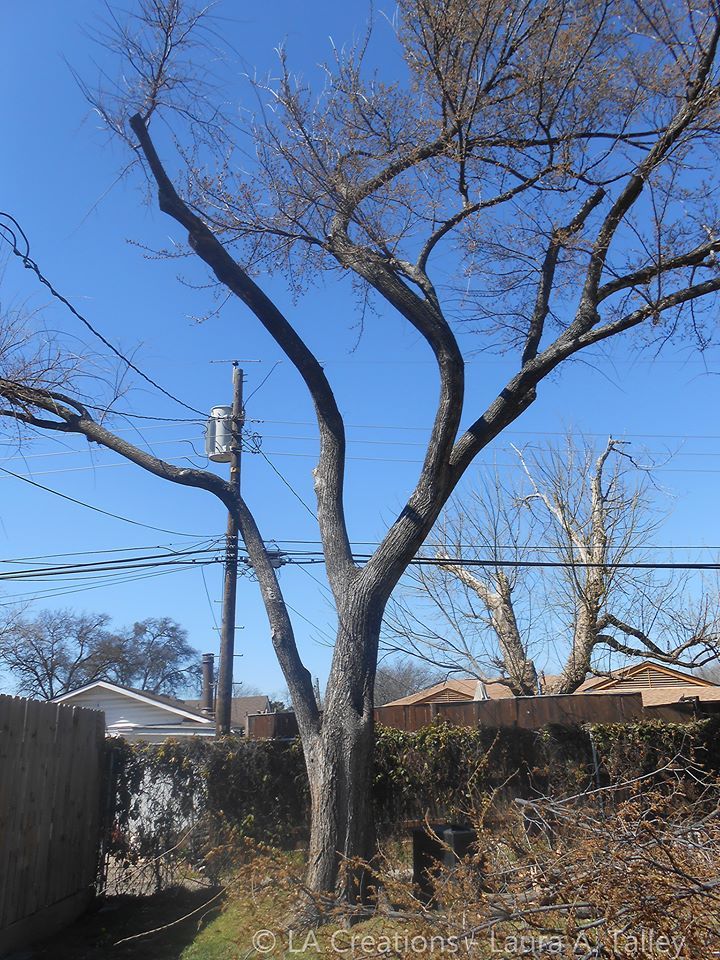 Obstacles such as electrical lines, fences, sheds,