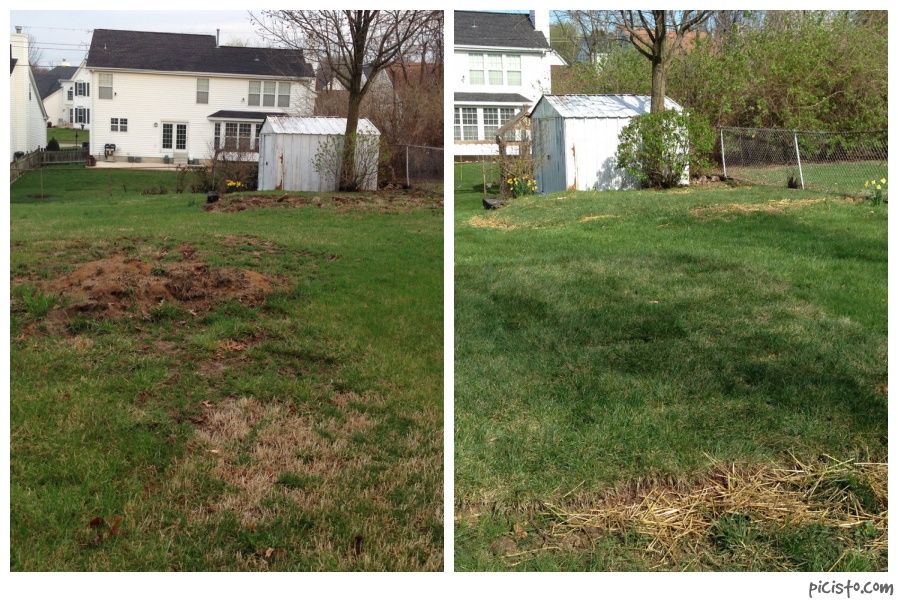 Before and after pic!