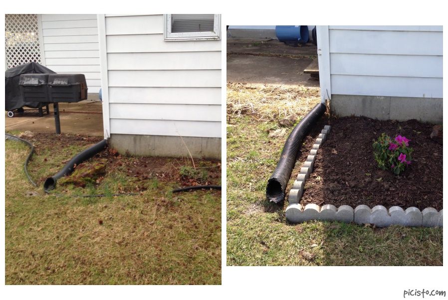 Before and after pic