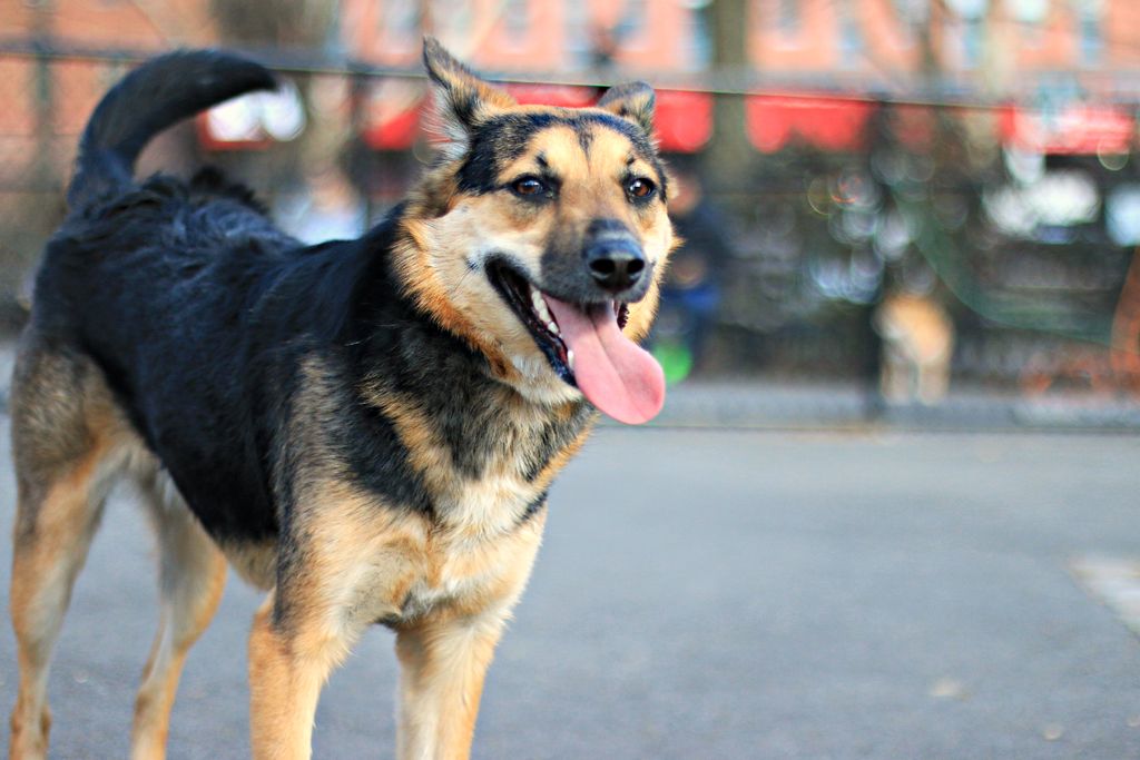 Hooray! Spring is here! Here is Sammy playing on a