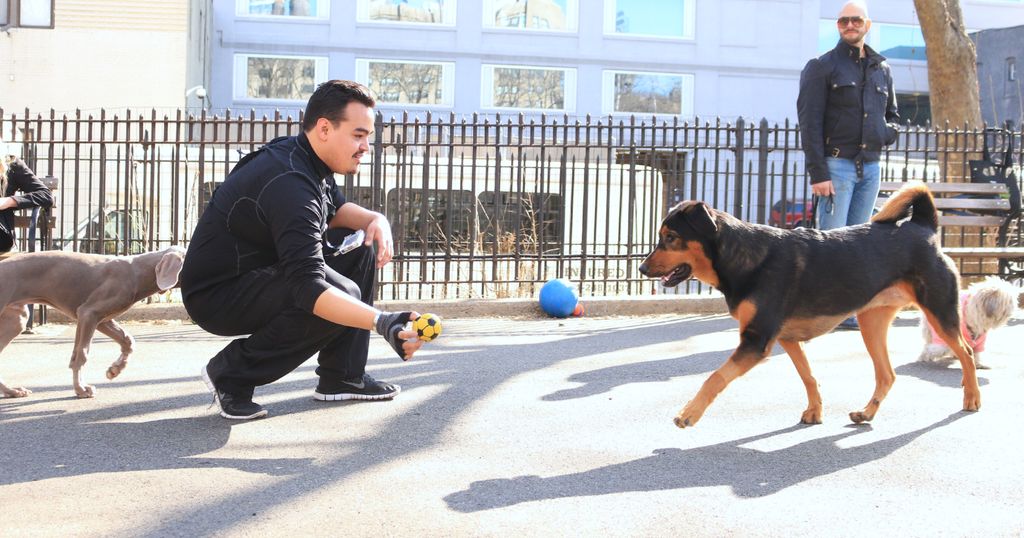 Sammy and Julio enjoying a spring day at the DeWit