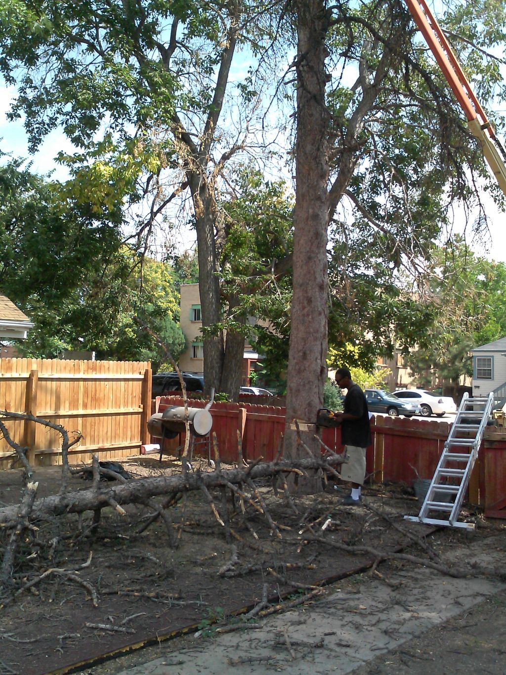 Tree Removal, Fence Install
