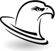 Fidelis Investigative & Security Services