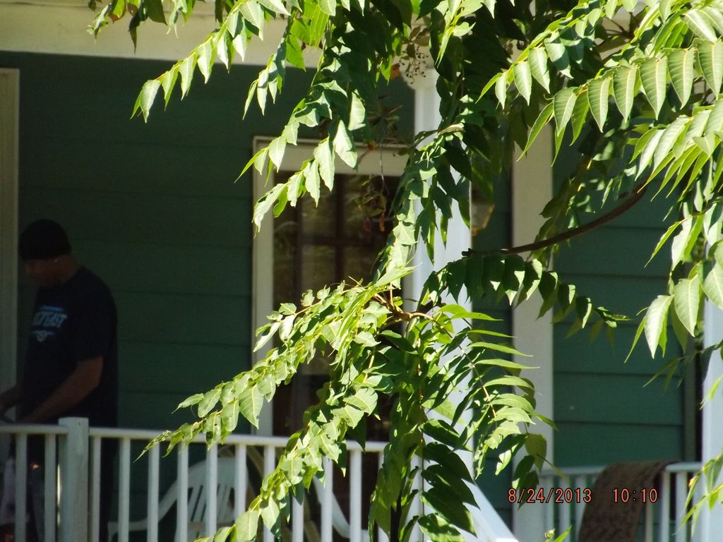 Surveillance shot from a long distance away.