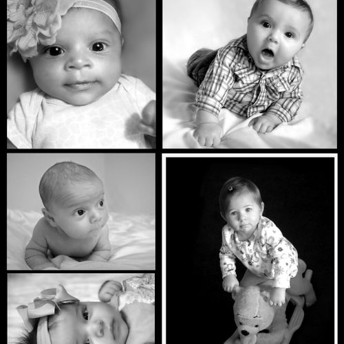 Baby Portraits