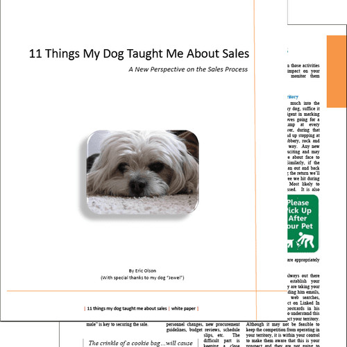 White Paper - 11 Things My Dog Taught my About Sal