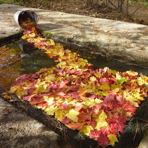Leaf Sculpture - 100- level outdoor sculptural ins