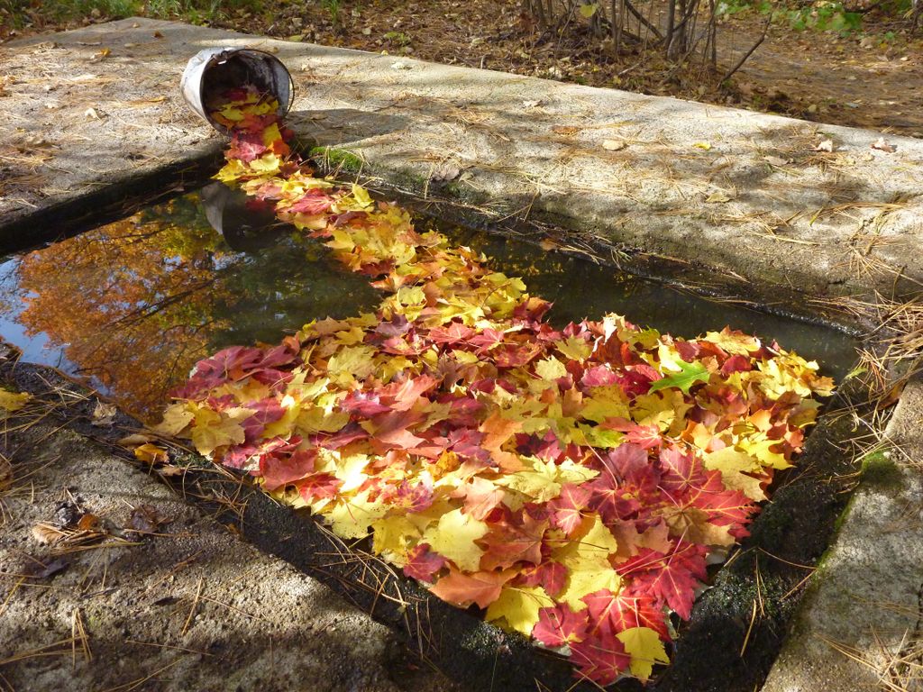 Leaf Sculpture - 100- level outdoor sculptural ins