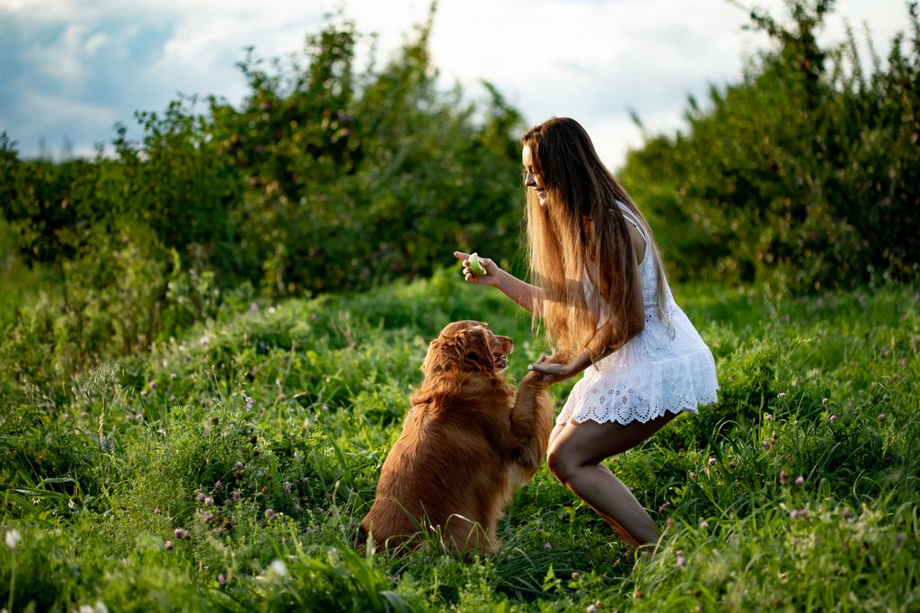 Engagement Photography