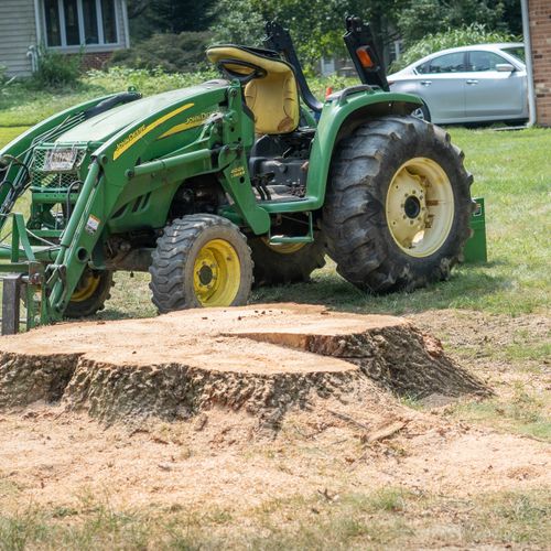 Tree Trimming and Removal