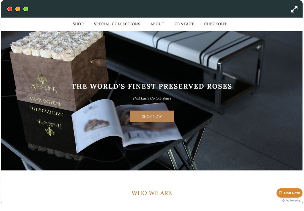 Projects and media