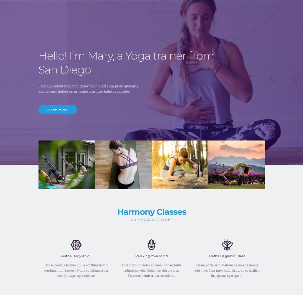 Projects and media